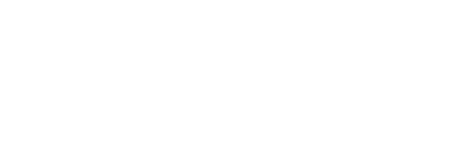 Logo PMSYA blanco